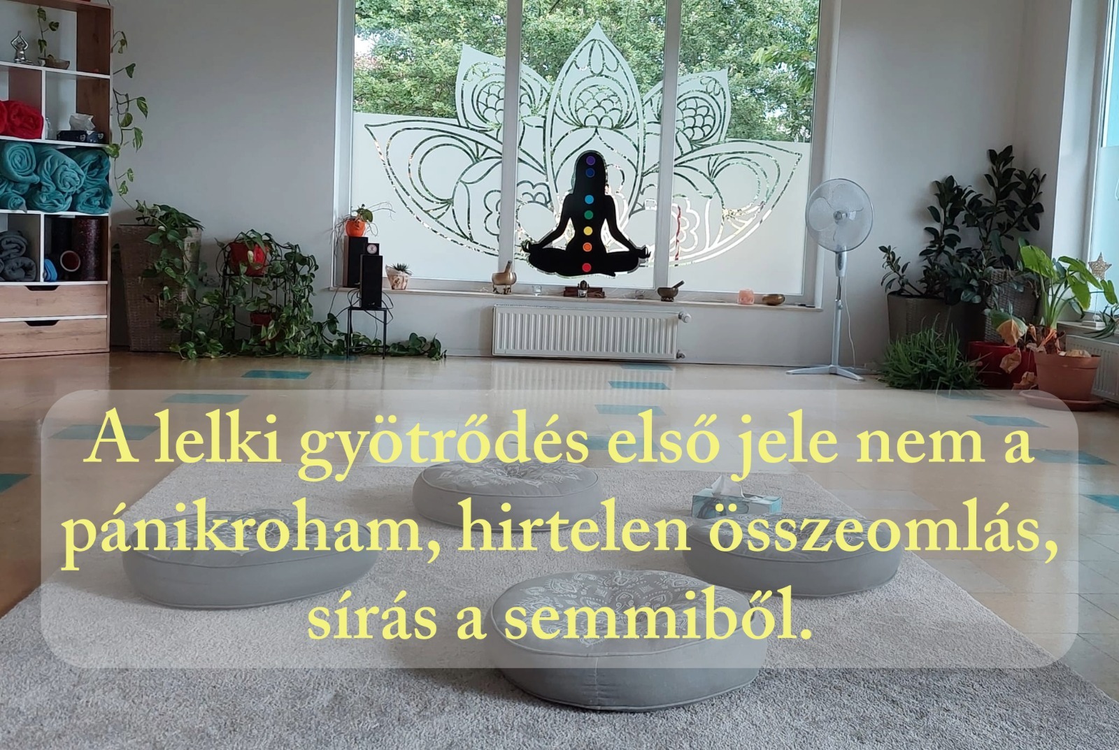 fajdalom-lelki-okai-szomatodrama-soulbridge